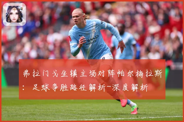 弗拉门戈坐镇主场对阵帕尔梅拉斯：足球争胜路径解析-深度解析